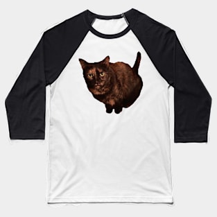 Tortitude Baseball T-Shirt